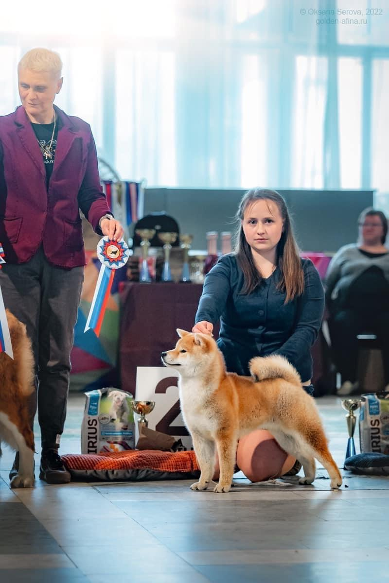 2022. SHIOMARU Shiba and Akita Inu Kennel