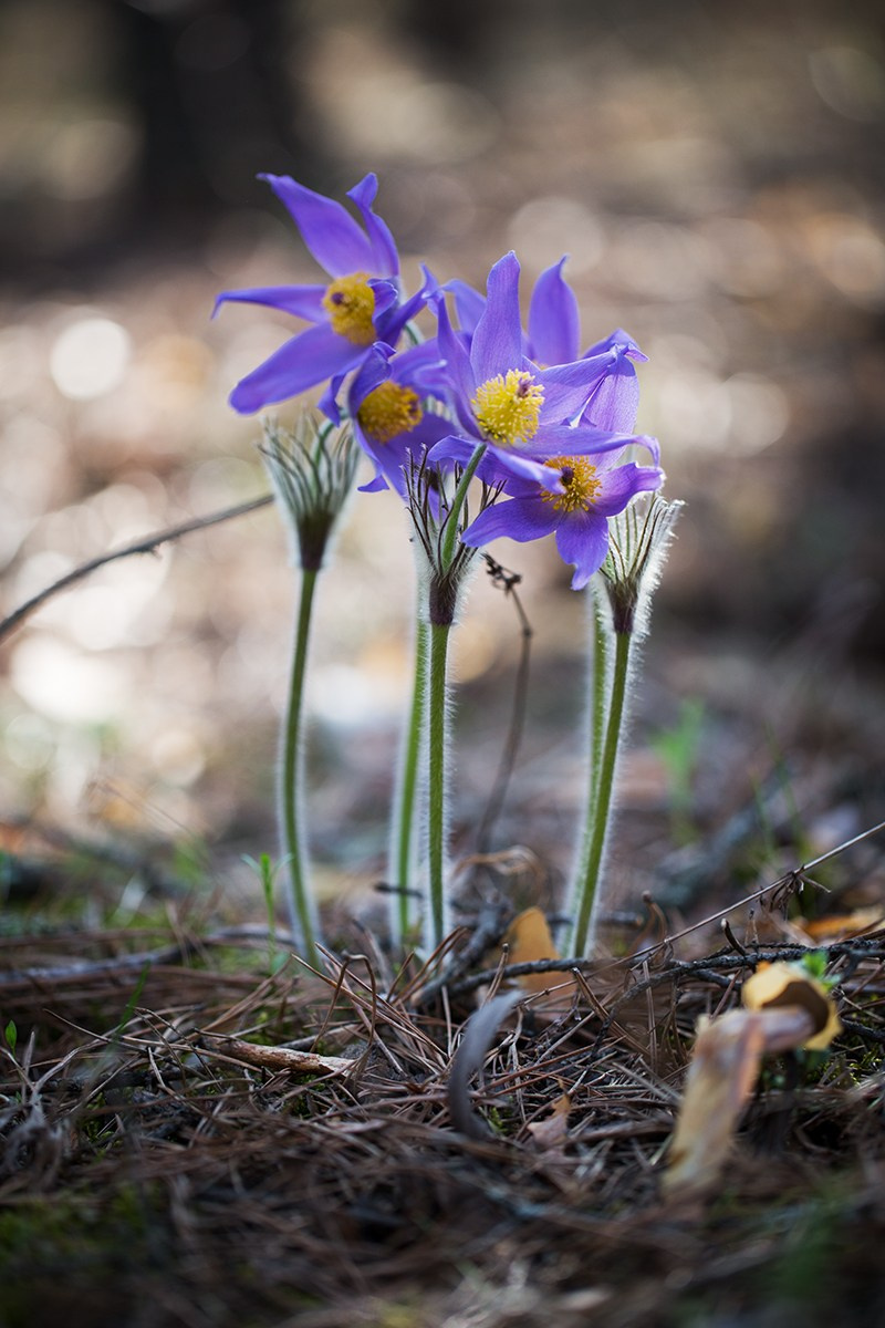 Рабочие дела. OLGA OLEYNIKOVA Пространство, люди, смыслы