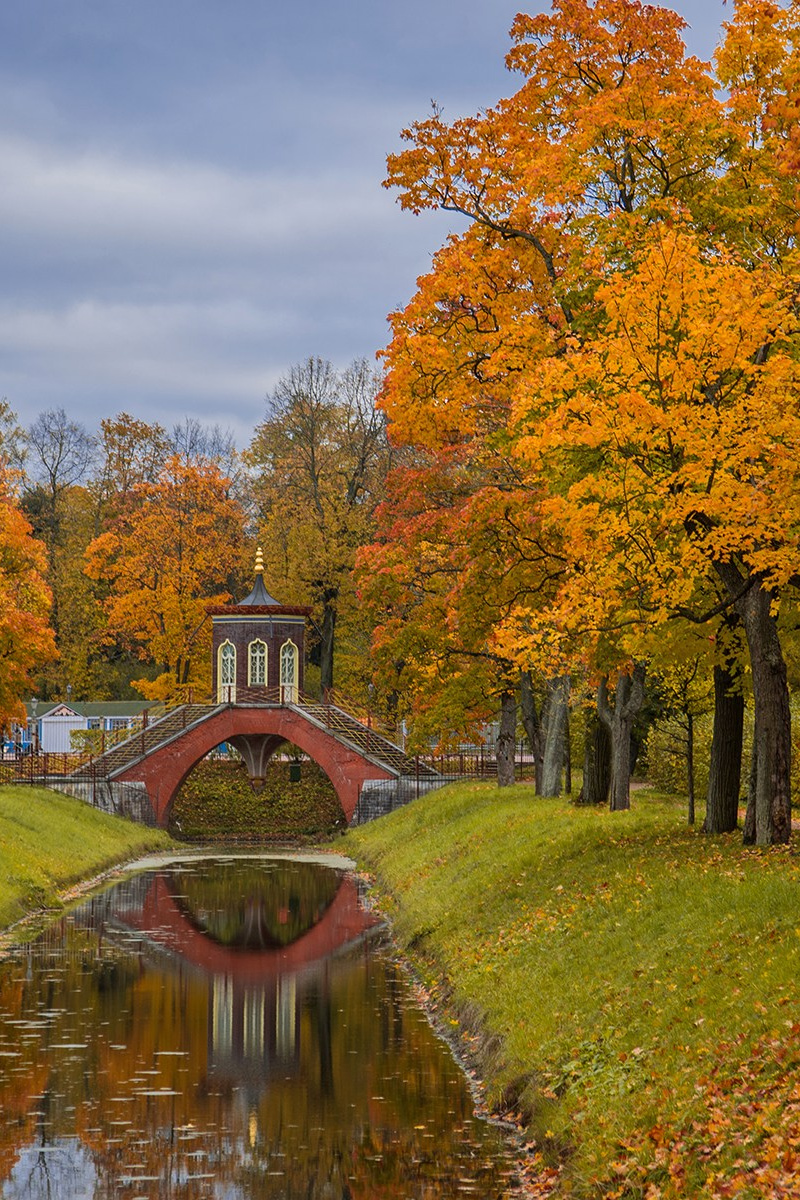 Осень в Царском Селе. Фотограф и искусствовед в Туле и Санкт-Петербурге Нелли Некрасова