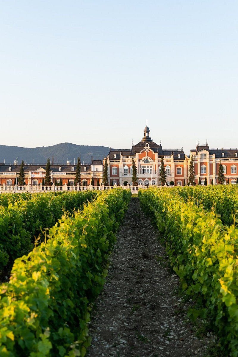 Анонсы мероприятий. Фотограф для маркетплейсов Wildberries и Ozon | Предметная и фуд-съёмка, инфографика и видео для брендов — Анастасия Супрунова