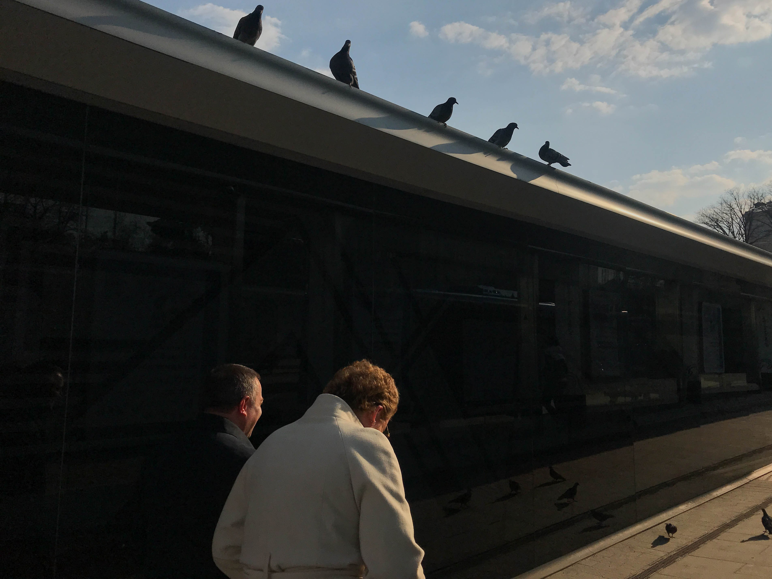 Мобильная фотография. Избранное (2016-2022) — Документальный фотограф Настя Сергеева