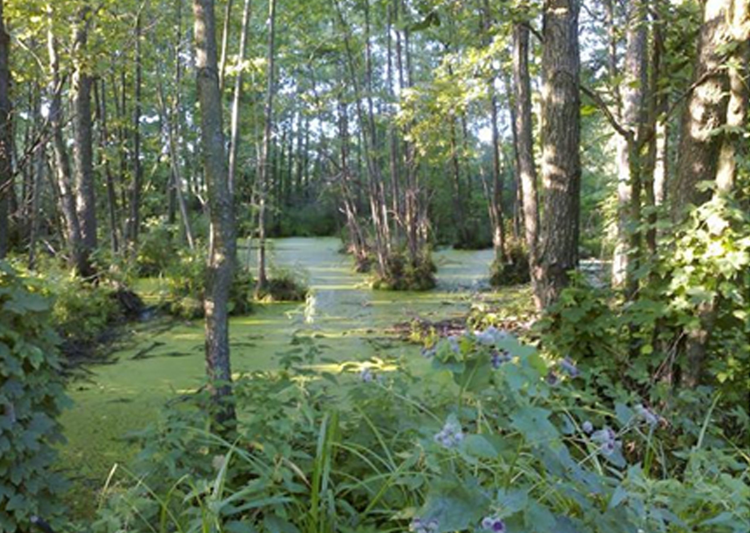 Тебе, Россия, посвящаем. Дворец Культуры г. Заволжья