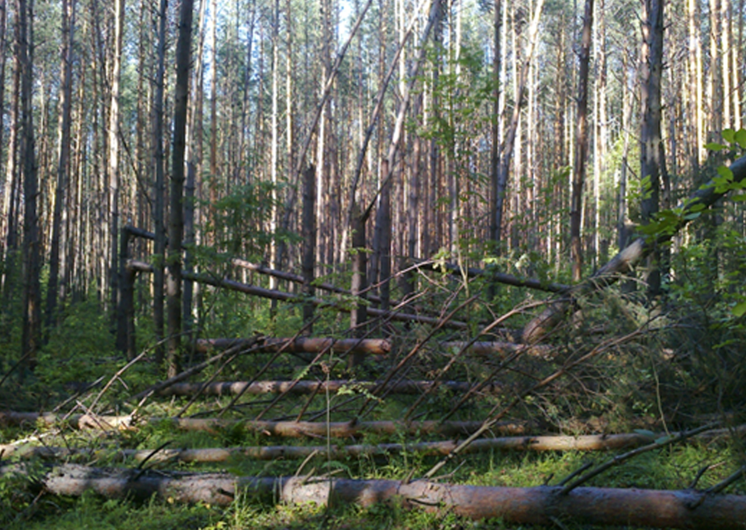 Тебе, Россия, посвящаем. Дворец Культуры г. Заволжья