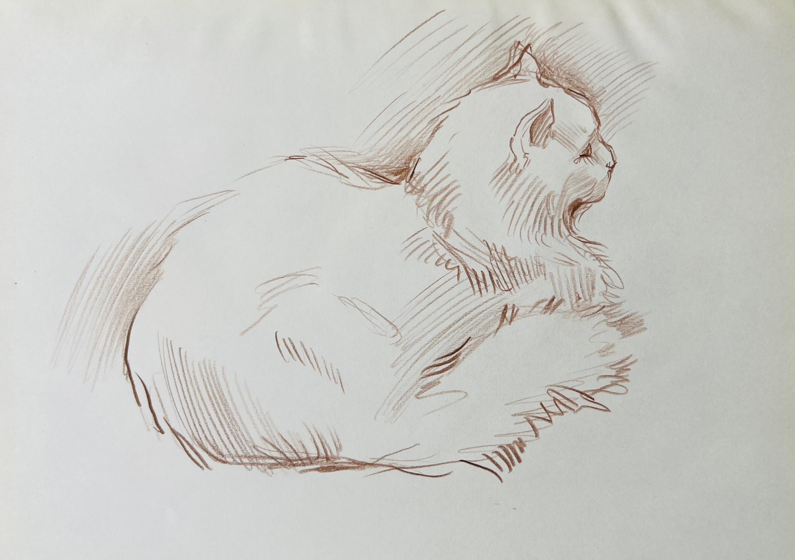 День котов. Ефремова Ольга. Художник