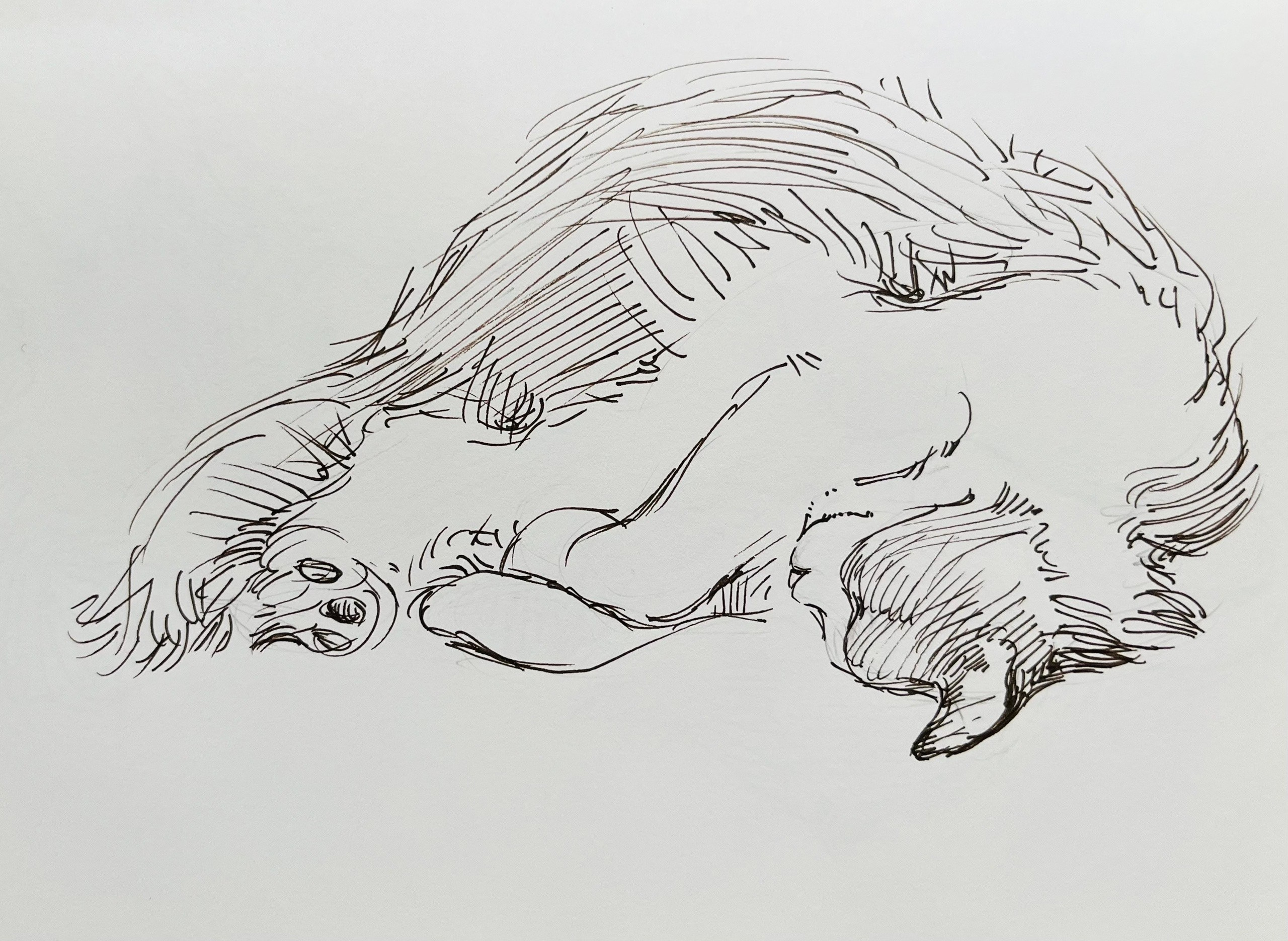 День котов. Ефремова Ольга. Художник