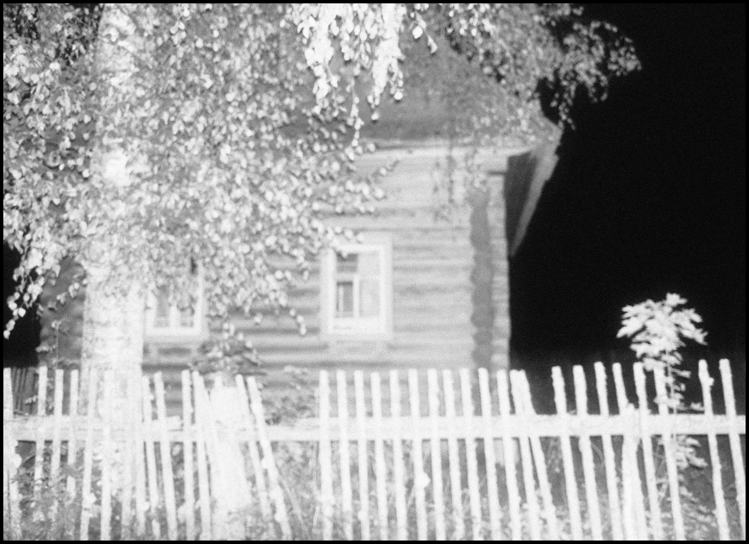 Виктория Ковшикова «Проклятый треугольник». Самоорганизация Низина