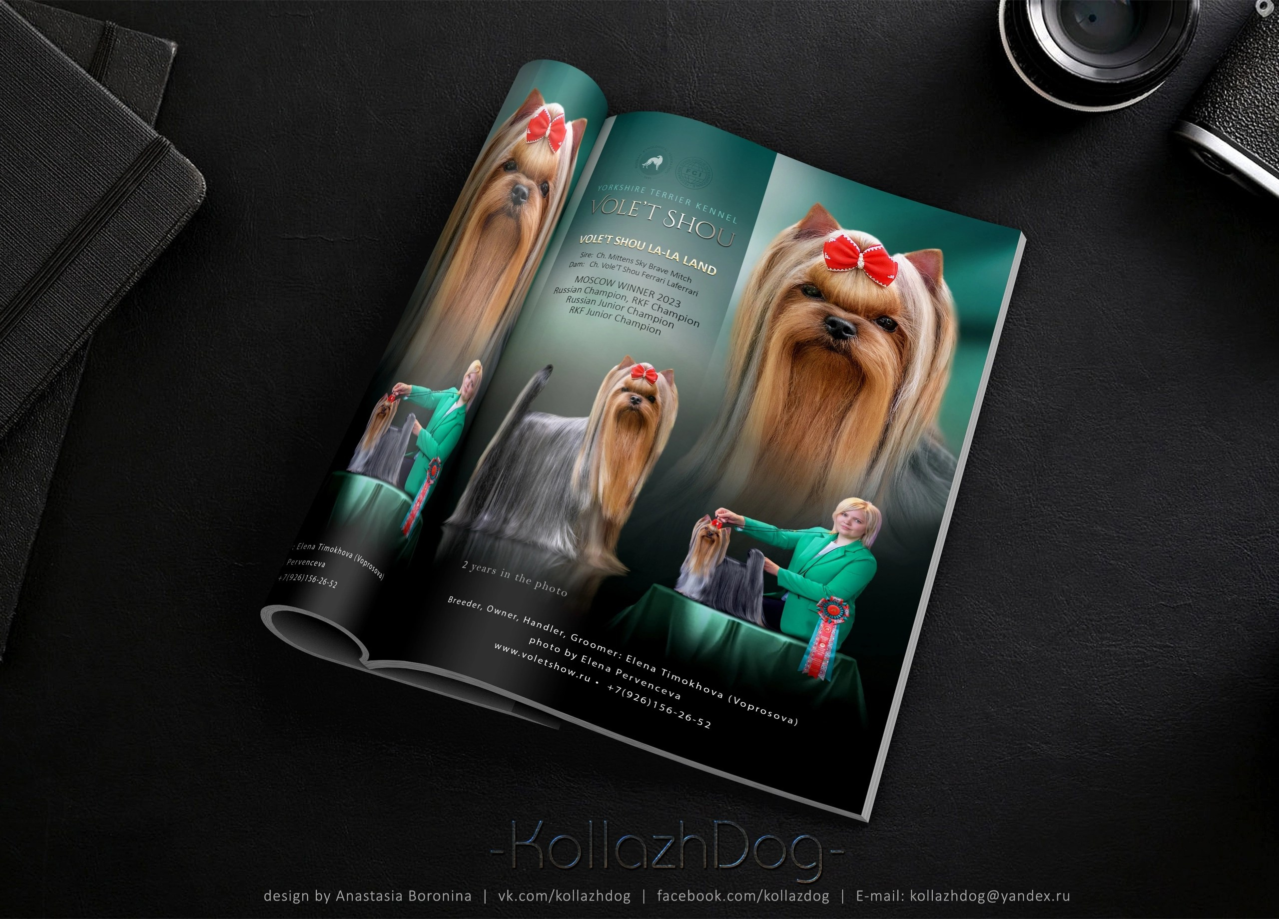 Разведение йоркширских терьеров. Питомник Воле'Т Шоу Vole'T Shou. Йоркширский терьер — питомник йоркширских терьеров Vole'T Shou