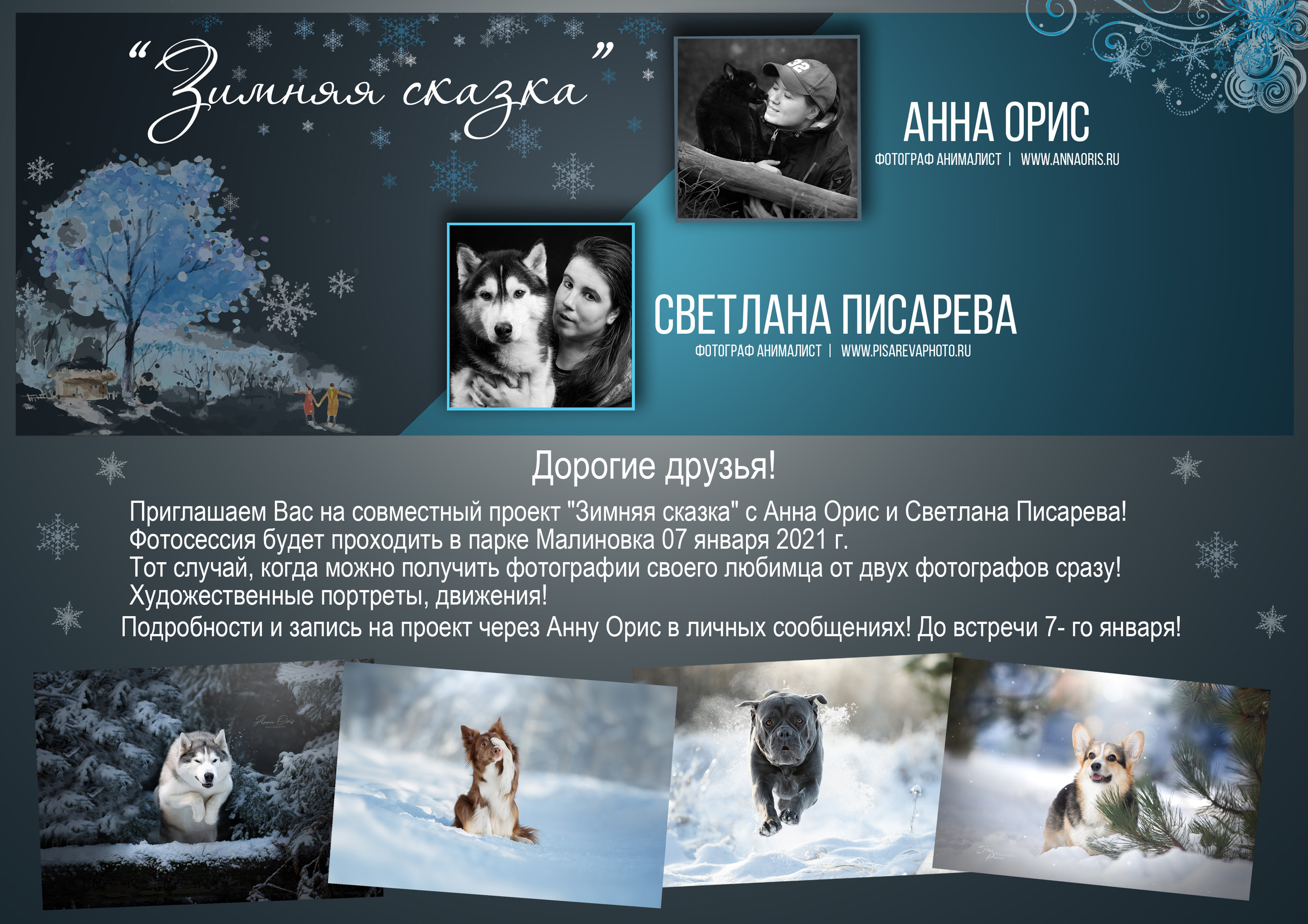 Совместный проект с Анна Орис «Зимняя сказка 2021». Фотограф анималист в Санкт-Петербурге Светлана Писарева