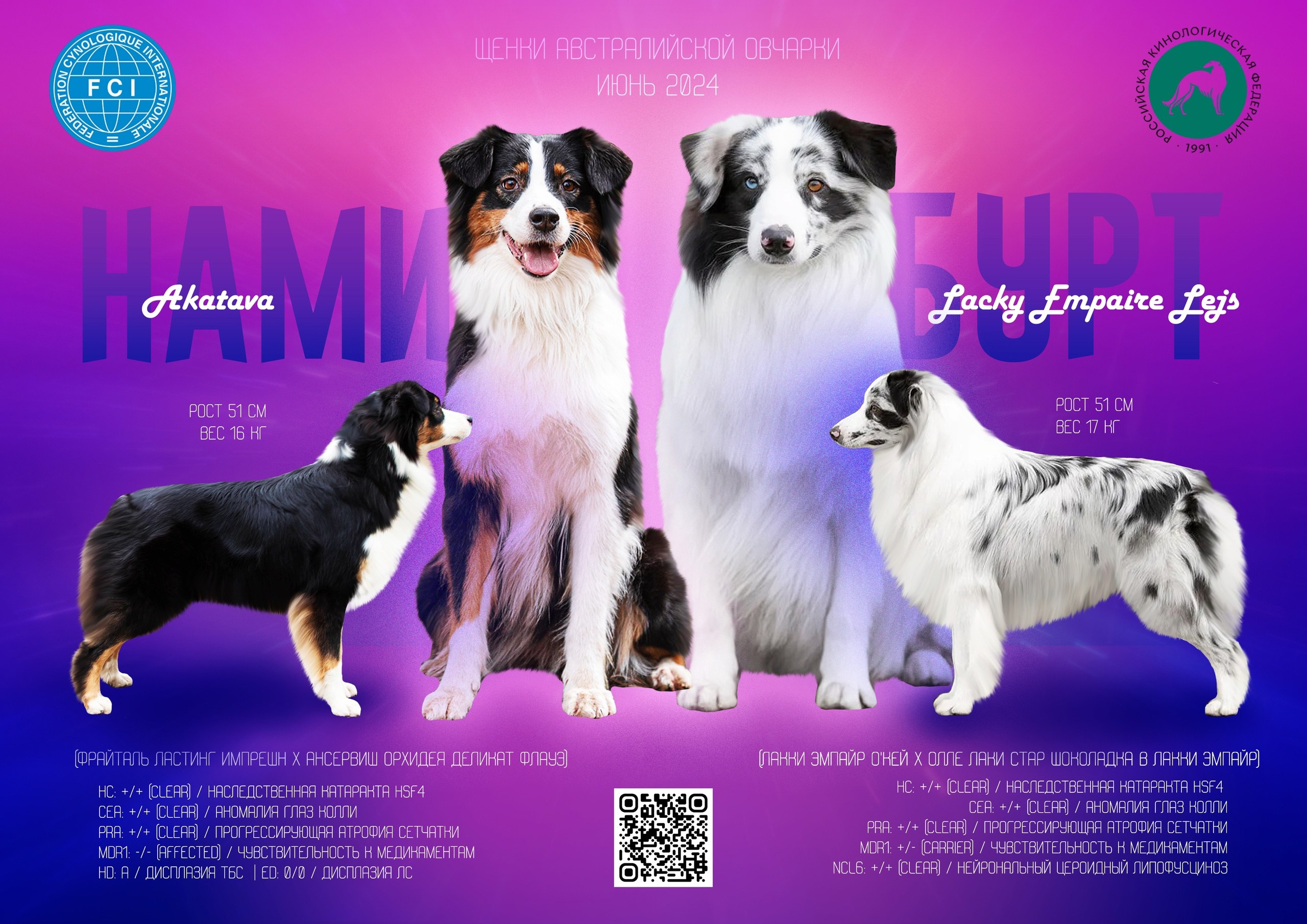 Выпускники. BLGKV питомник собак