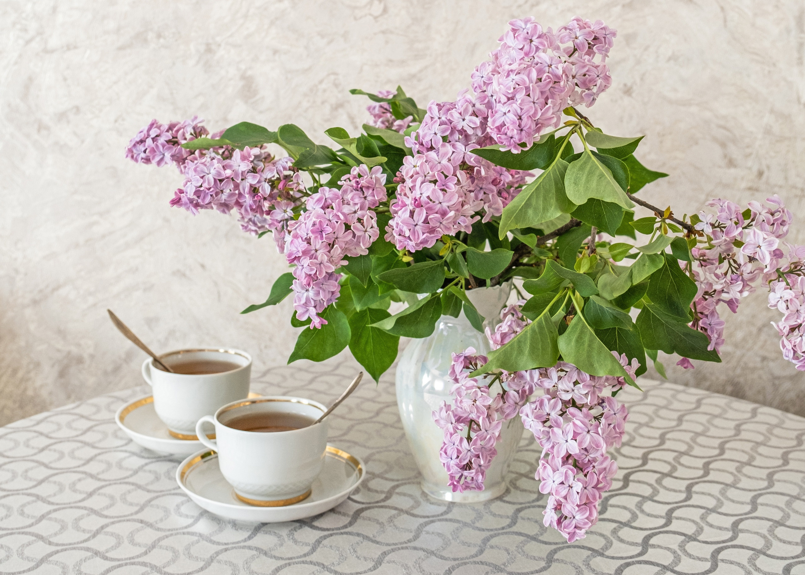 Lilac inspiration. Фотограф и искусствовед в Туле и Санкт-Петербурге Нелли Некрасова