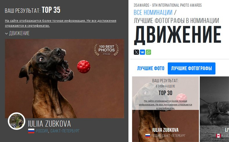 Мои достижения. Фотограф-анималист Юлия Зубкова