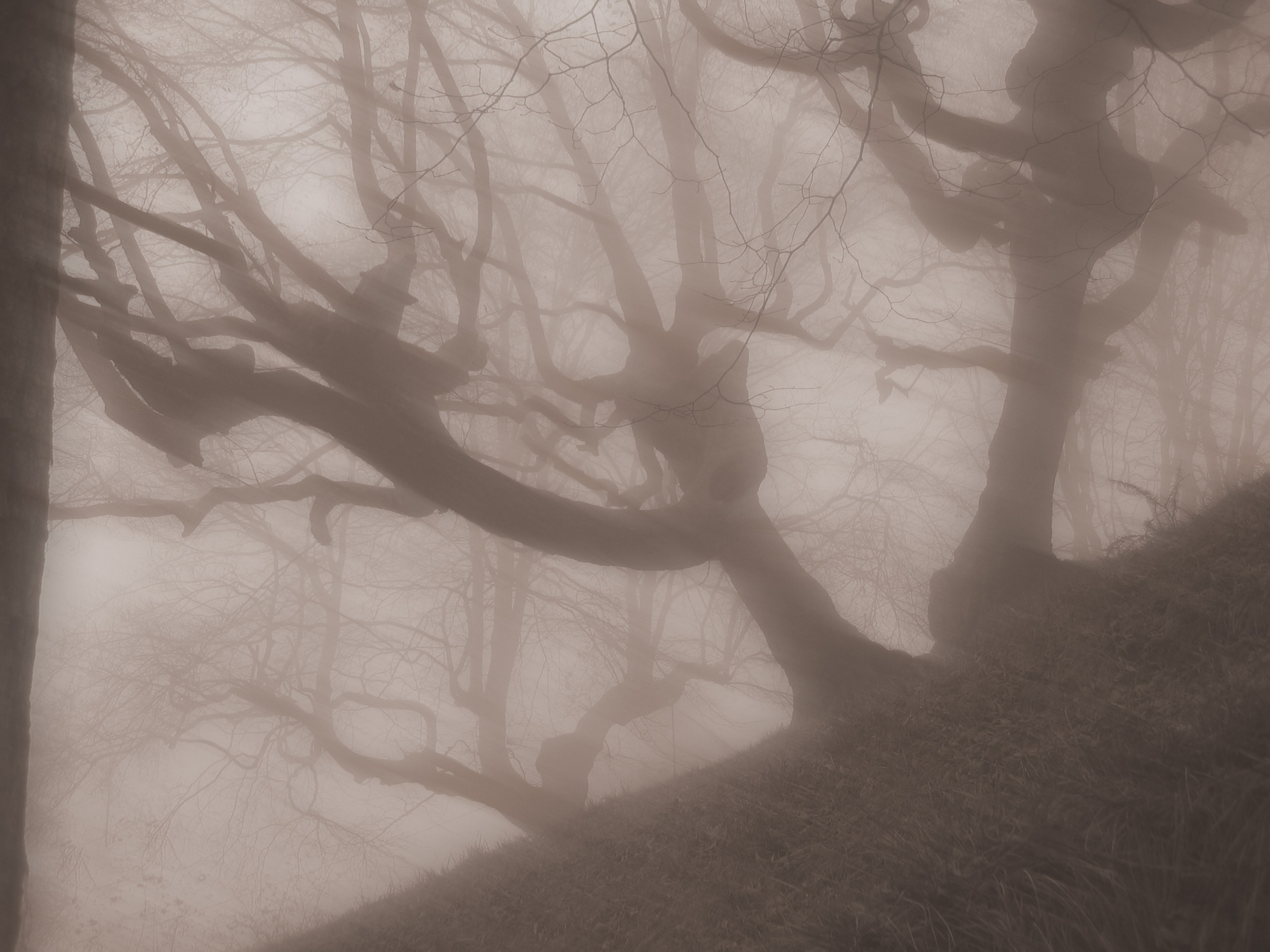 Ностальгия. Визуальный художник Лиана Даренская, Москва