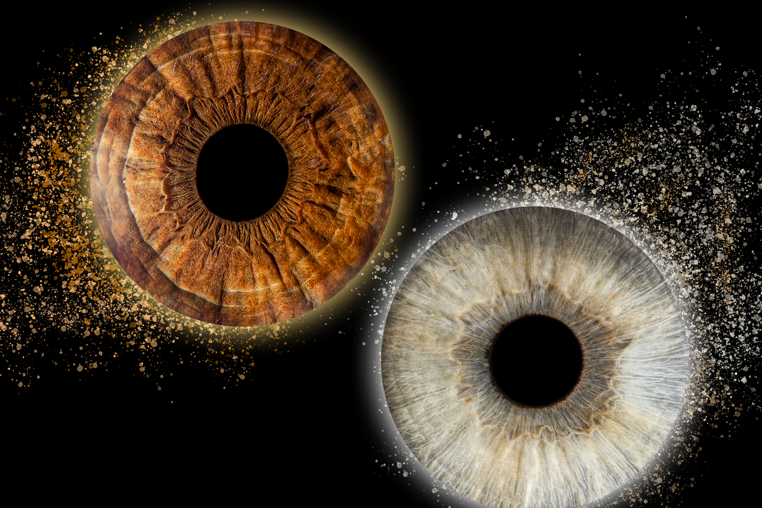 Услуги. Макро Фото радужки глаза в Зеленоградске