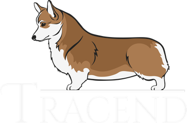 tracend.ru