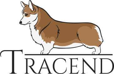 tracend.ru