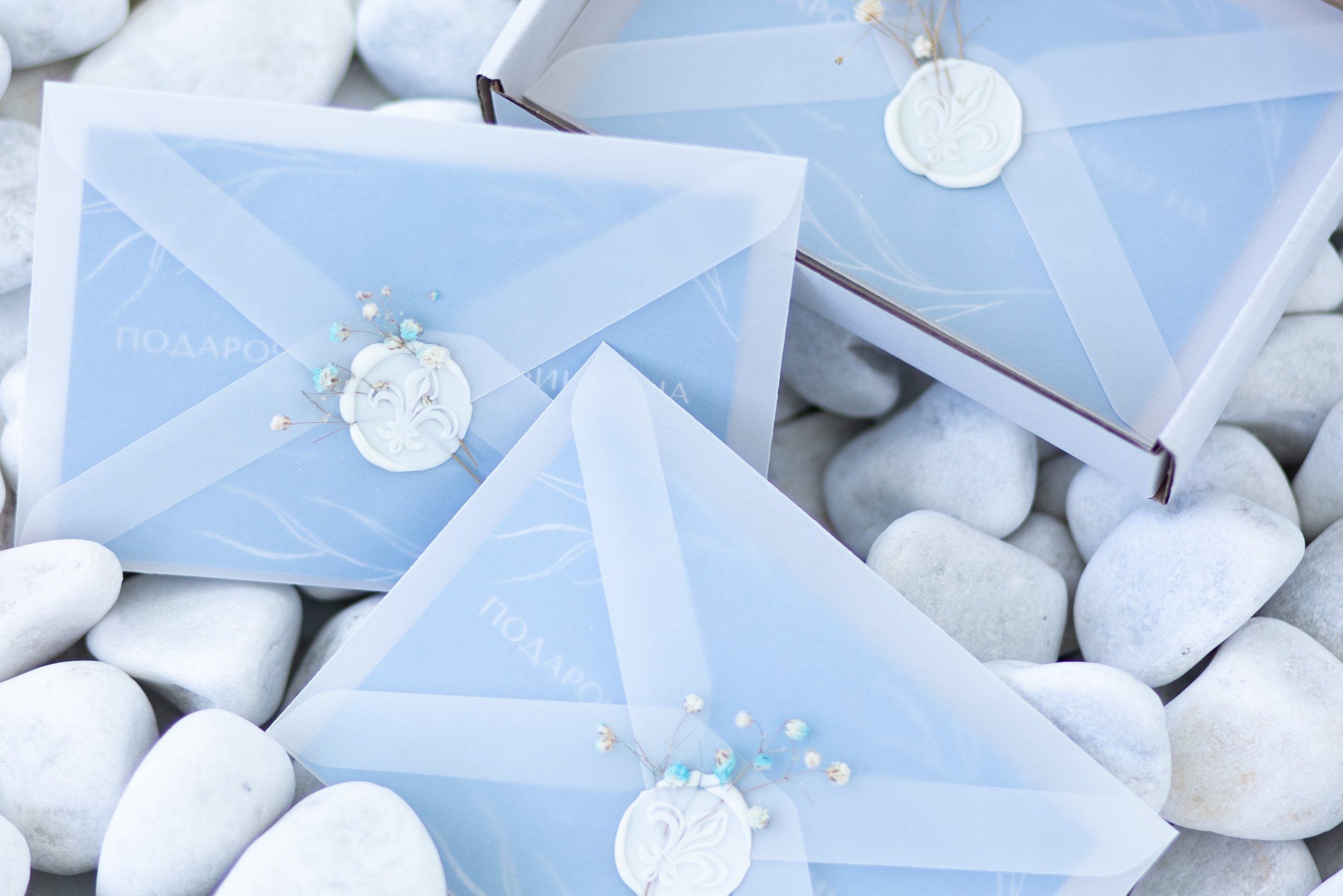 Подарочные сертификаты. Семейный фотограф в Екатеринбурге и Красноуфимске Евгения Лягаева