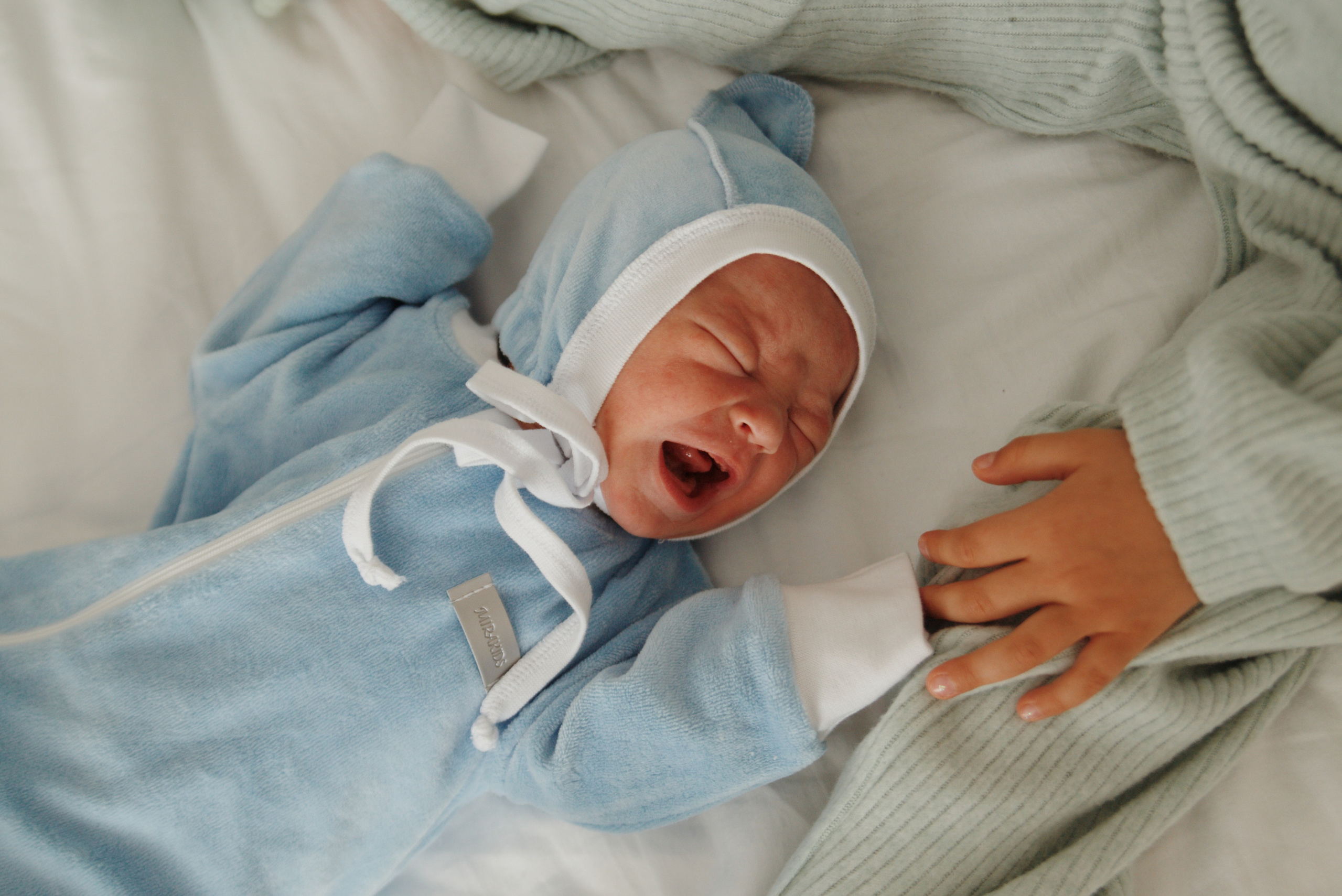 Услуги. Семейный фотограф в Санк-Петербурге Юлия Поволоцкая