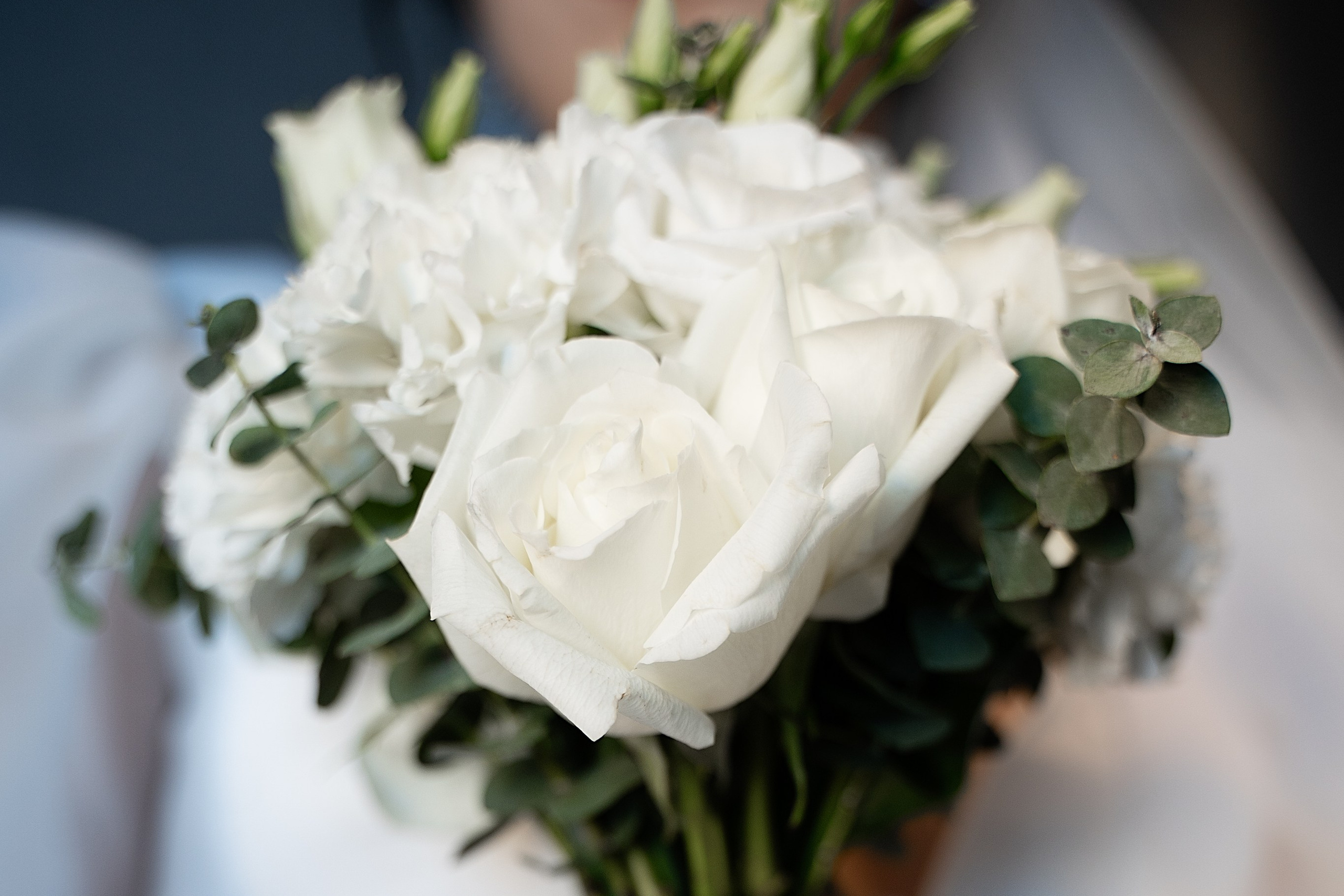 Услуги. Главная