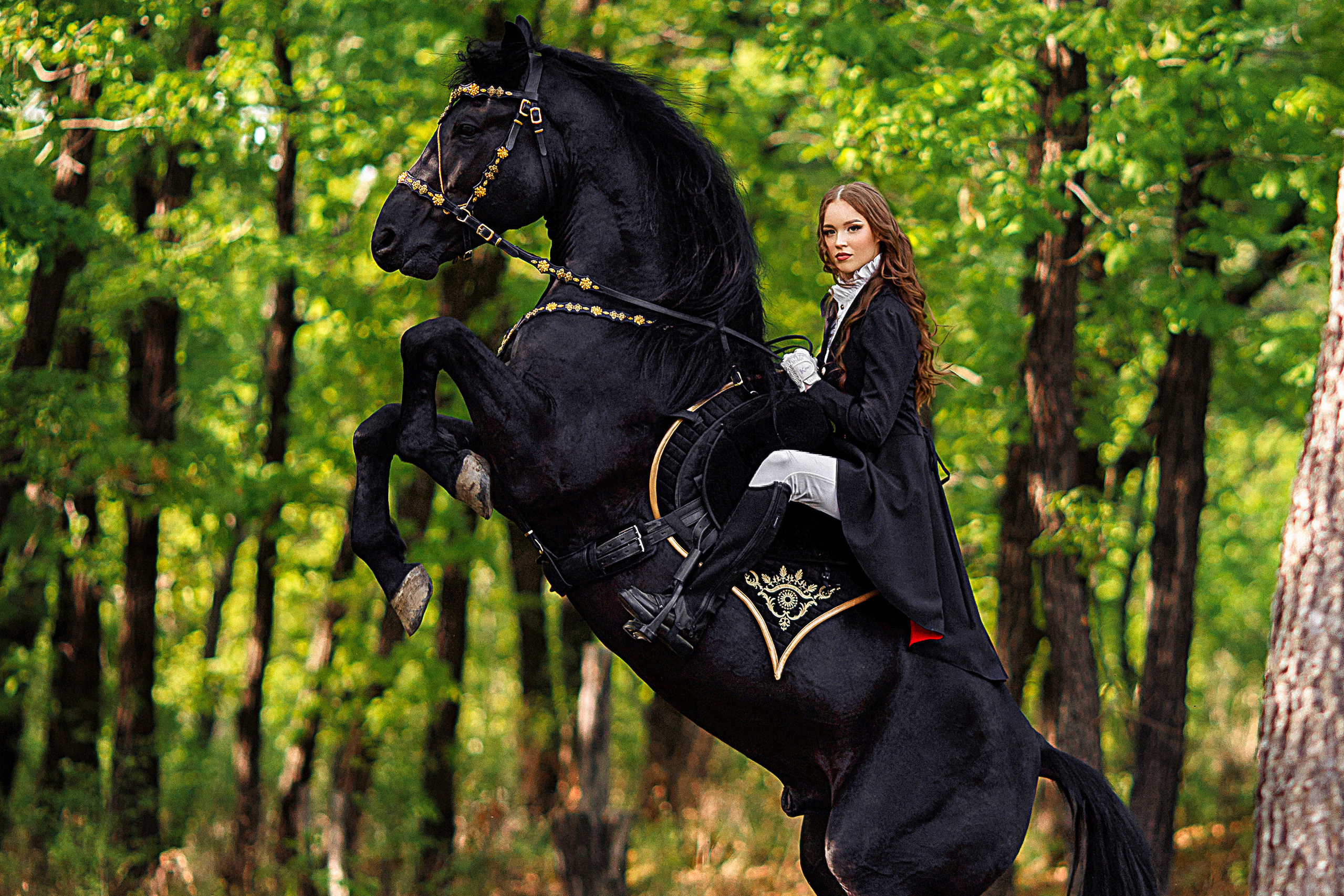 Пакеты услуг. Конный фотограф в Благовещенске-Мария Балабанова