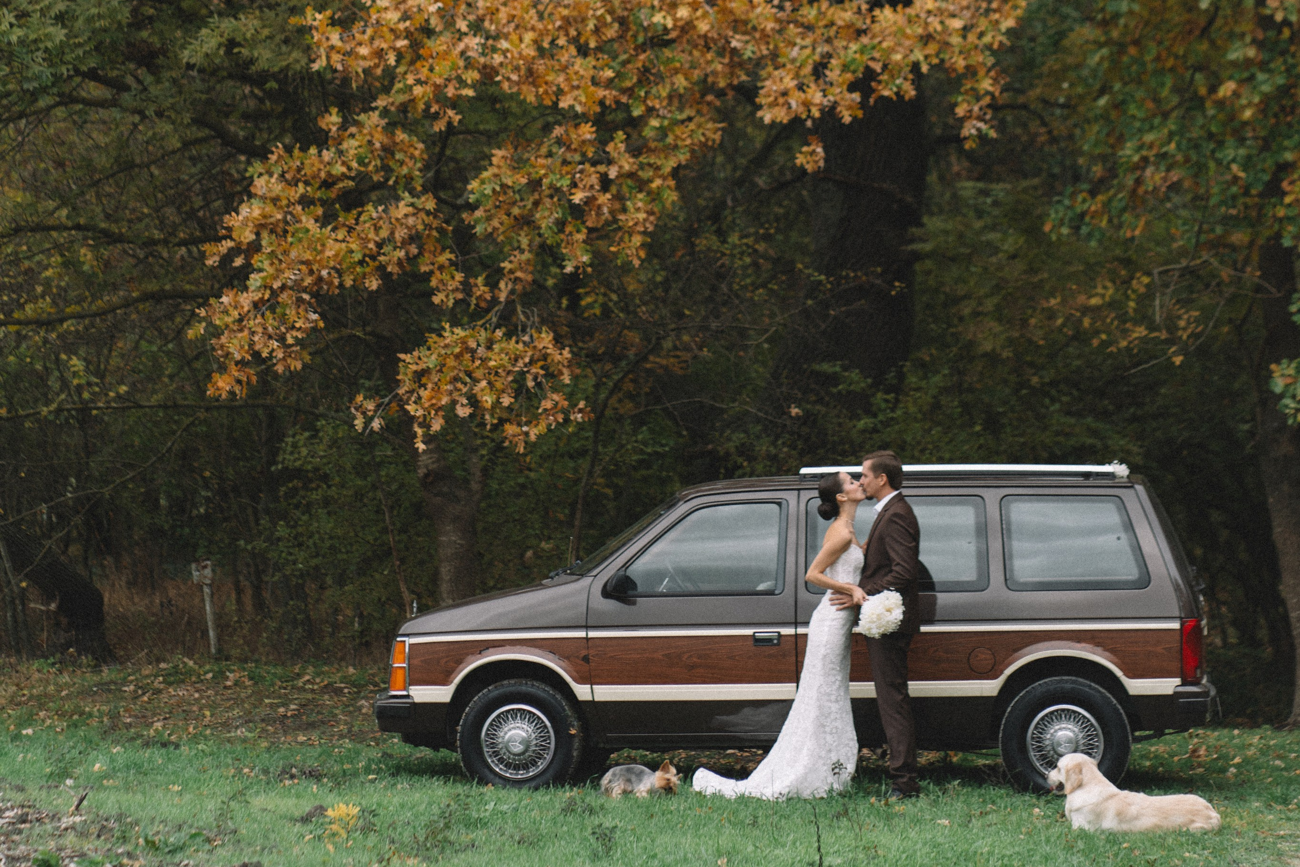 ретро фотография свадьба; свадебная фотосессия; фотограф в анапе; фотосессия анапа; анна муратова фотограф анапа; свадебный фотограф в анапе; пара с собаками; свадьба с собаками;