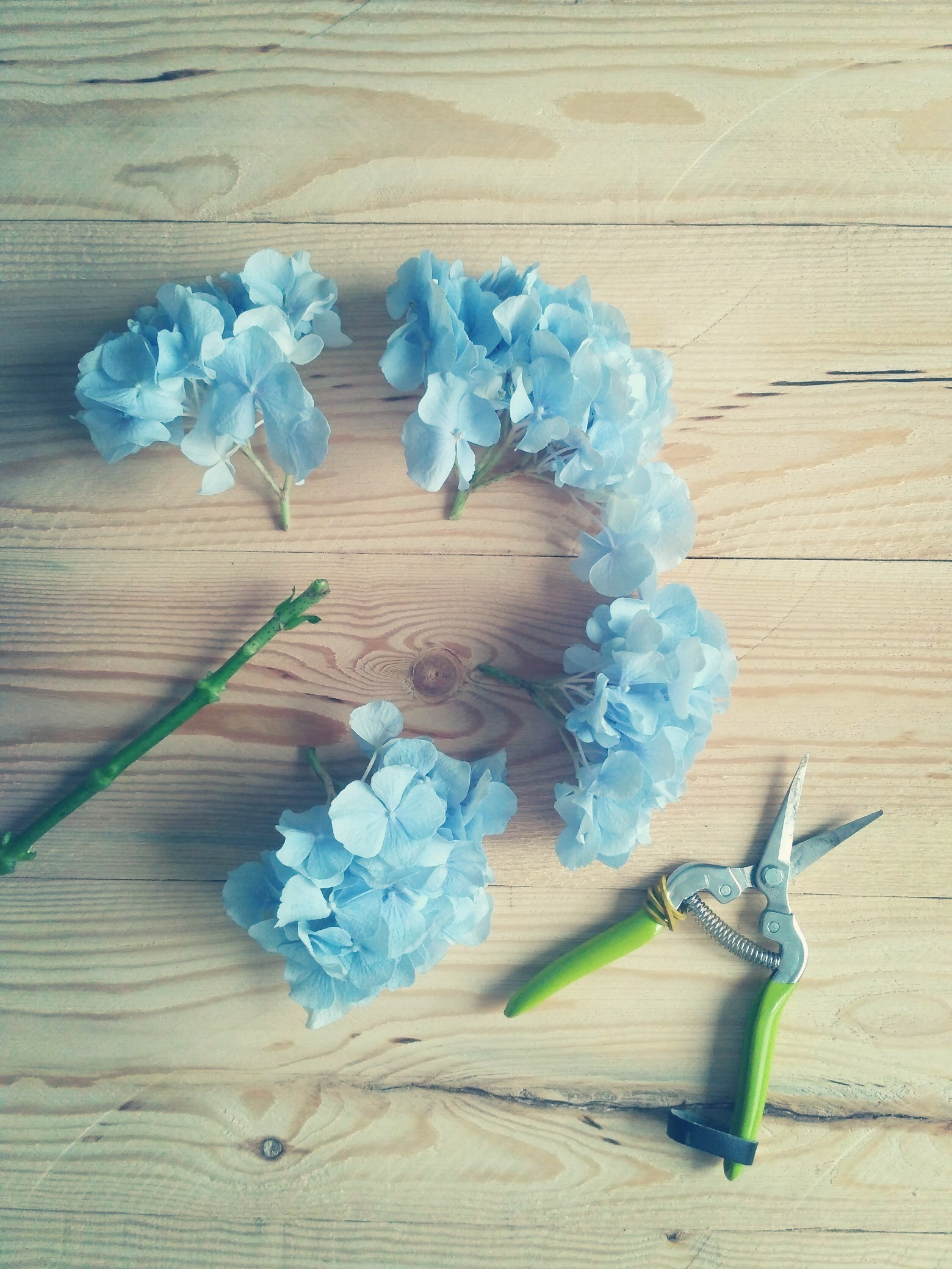 Гортензия в свадебном букете. Флорист Маргарита Гладкова