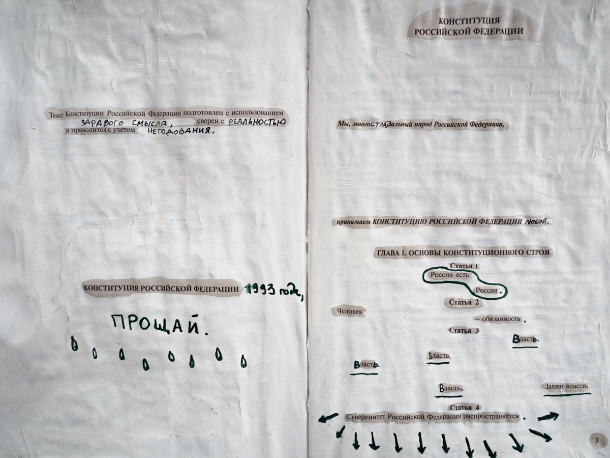 Поправки. Художница Ирина Гейнц