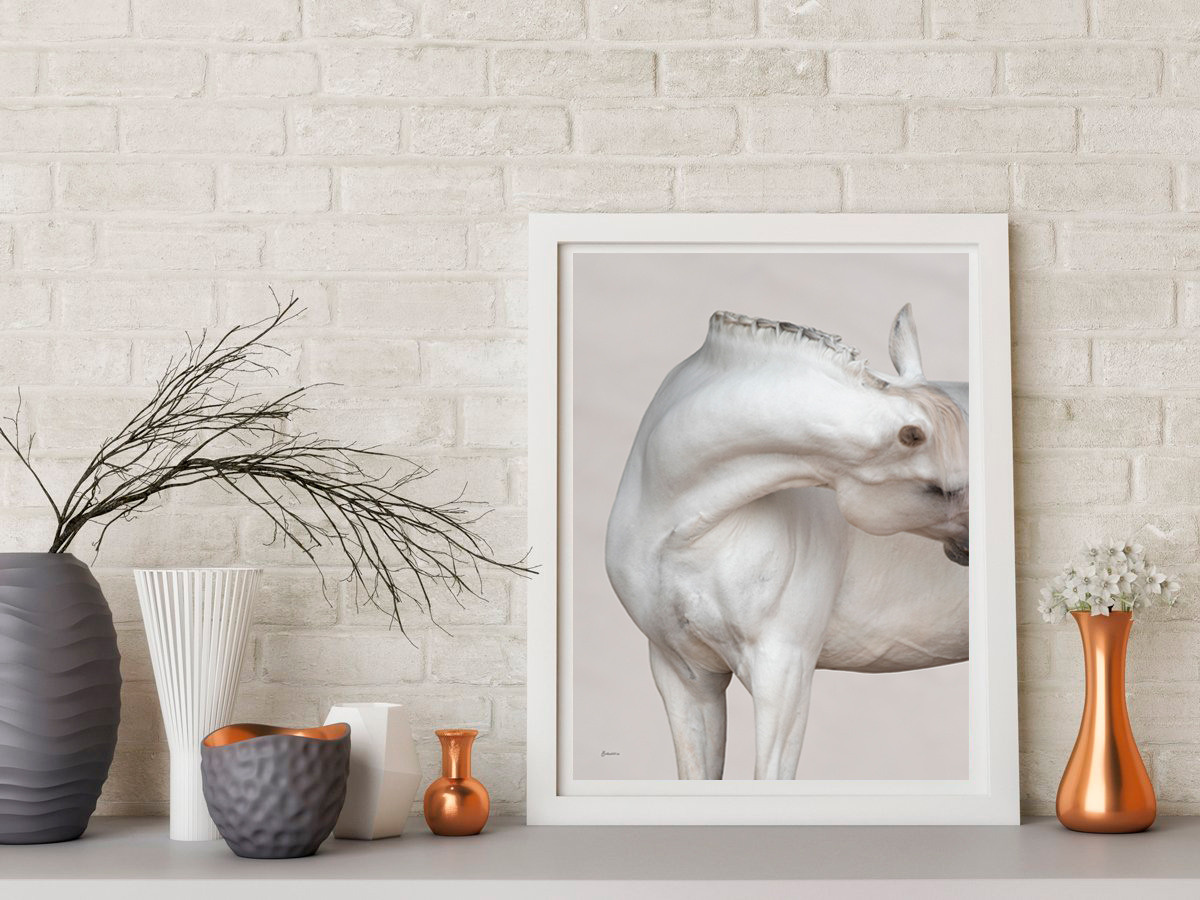 Портрет лошади, лошадь, конь, фото лошади, фотография лошади, конный фотограф, съемка лошадей, фотограф лошадей, конная фотография, конный фотограф, конный фотограф в спб, профессиональный фотограф спб, фотограф спб, ахалтекинец, рысак, спортивная лошадь, конный клуб, фотосессия с лошадьми, экстерьерная съемка лошадей, съемка лошадей на продажу, конная выставка, фотограф питер