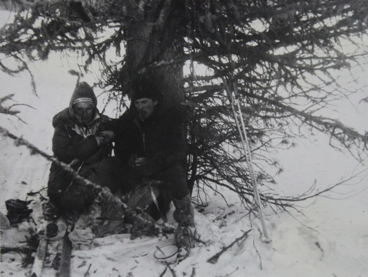 Черно‑белая архивная фотография: двое участников поисковой группы у крупного кедра на заснеженном склоне в районе перевала Дятлова; вокруг — лыжные палки, фрагменты снаряжения и нагромождение веток.
