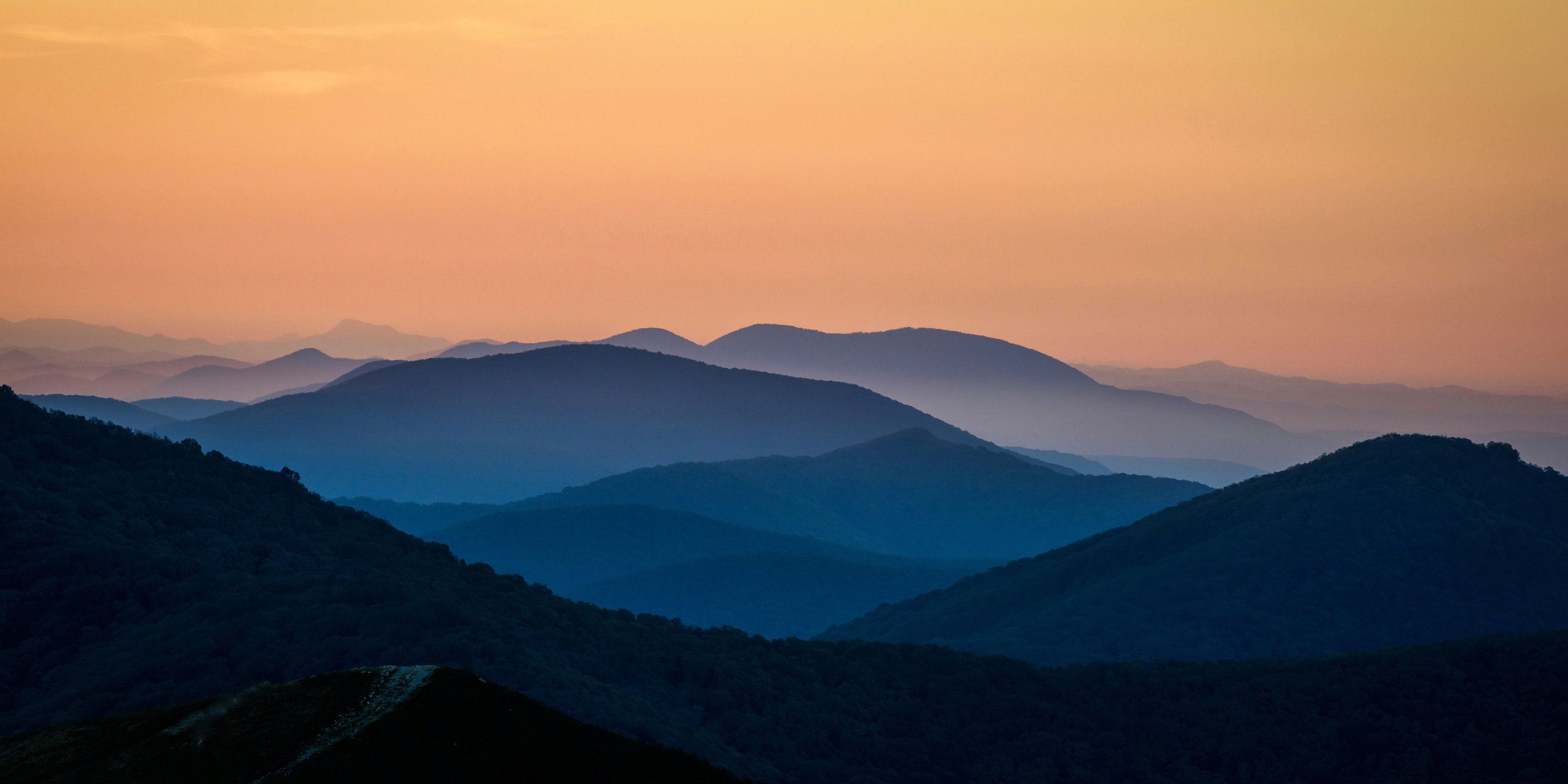 Работы, на дереве, холсте, стекле, которые можно приобрести. Яркие фото на Чёрном море