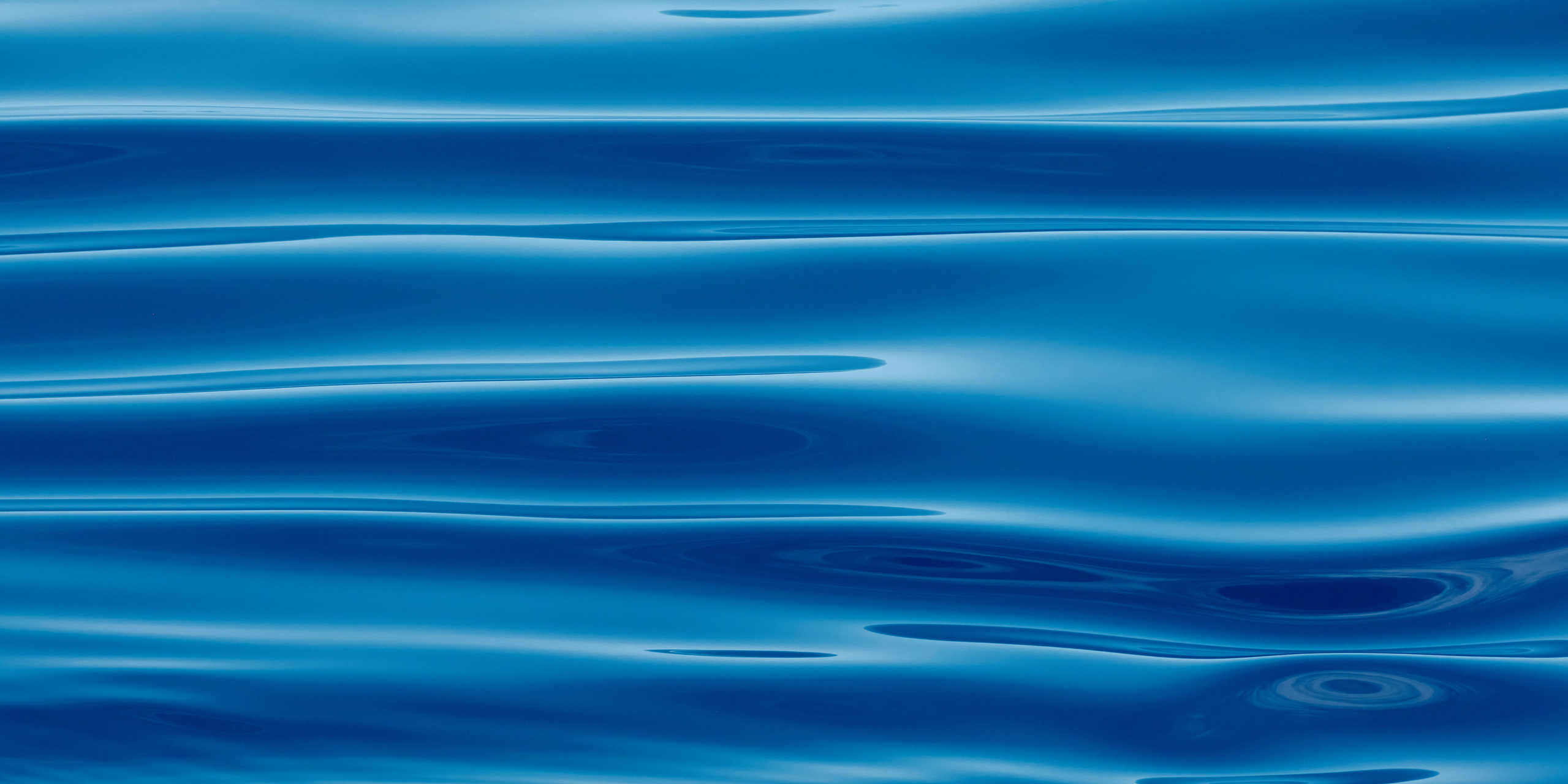 Работы, на дереве, холсте, стекле, которые можно приобрести. Яркие фото на Чёрном море