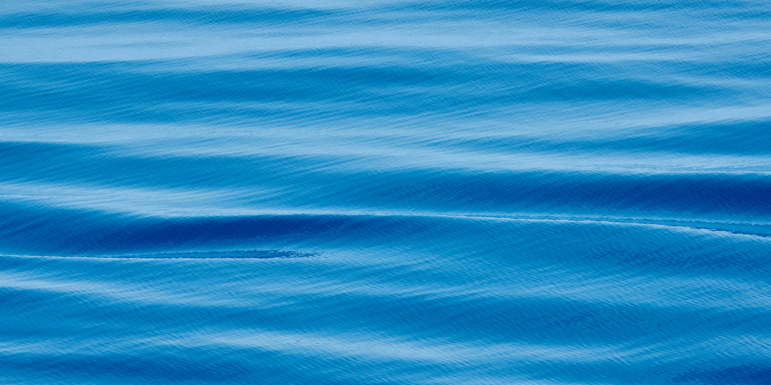 Работы, на дереве, холсте, стекле, которые можно приобрести. Яркие фото на Чёрном море