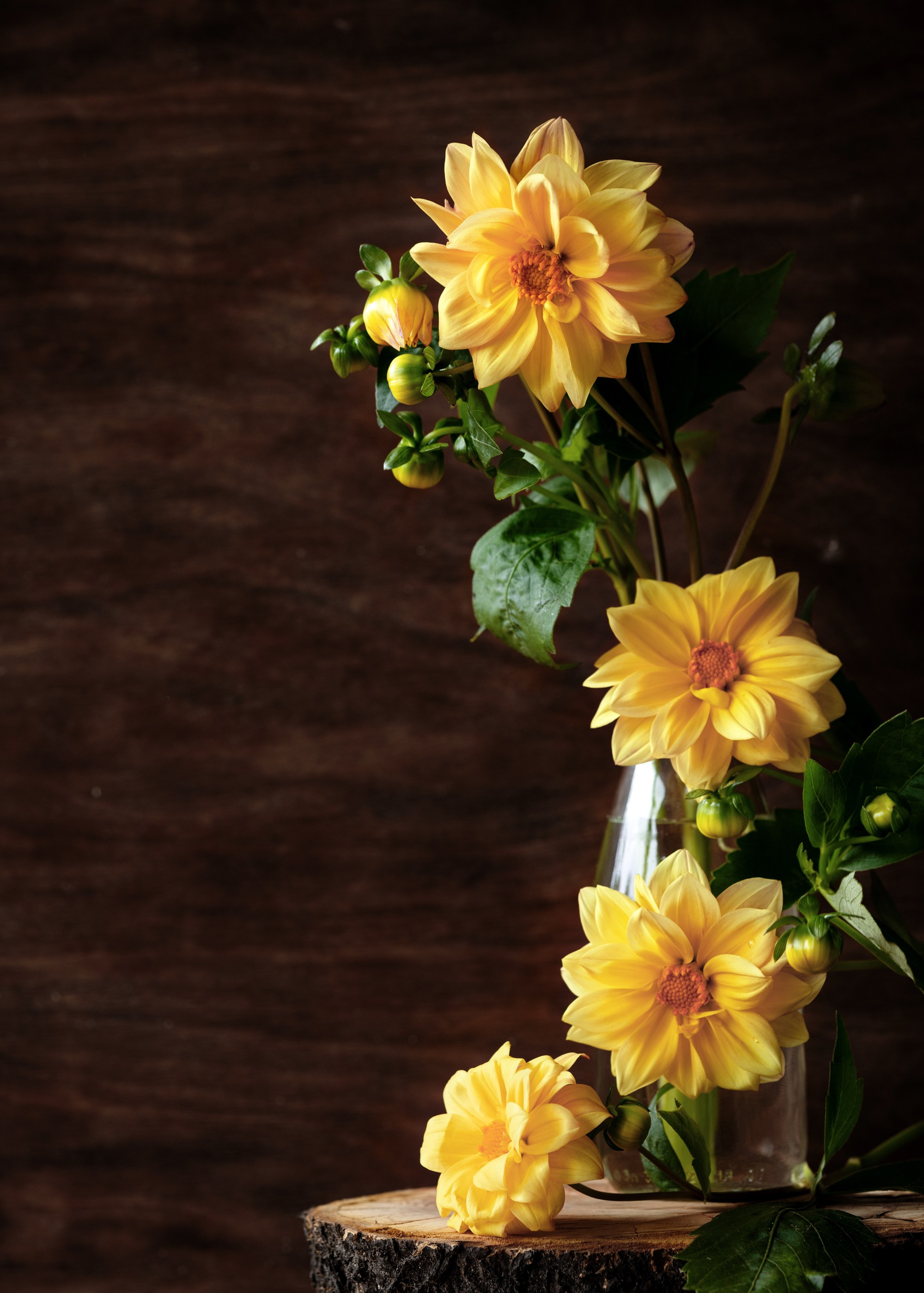 Botanical Still Lifes. Author’s fine art prints with international delivery