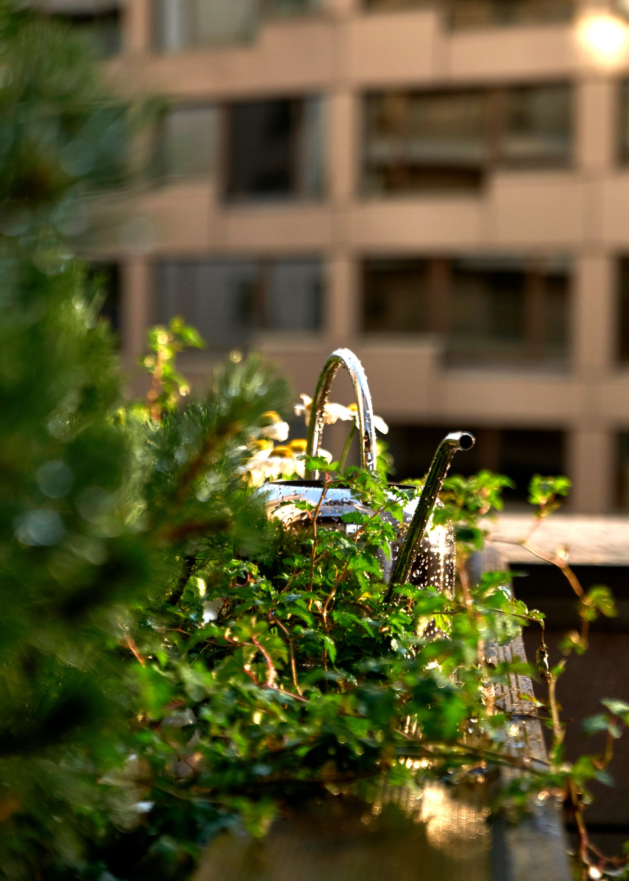 Ландшафтный и интерьерный фотограф Наталья Соловьева. Фотосъемка садов и недвижимости высокого уровня | interioto