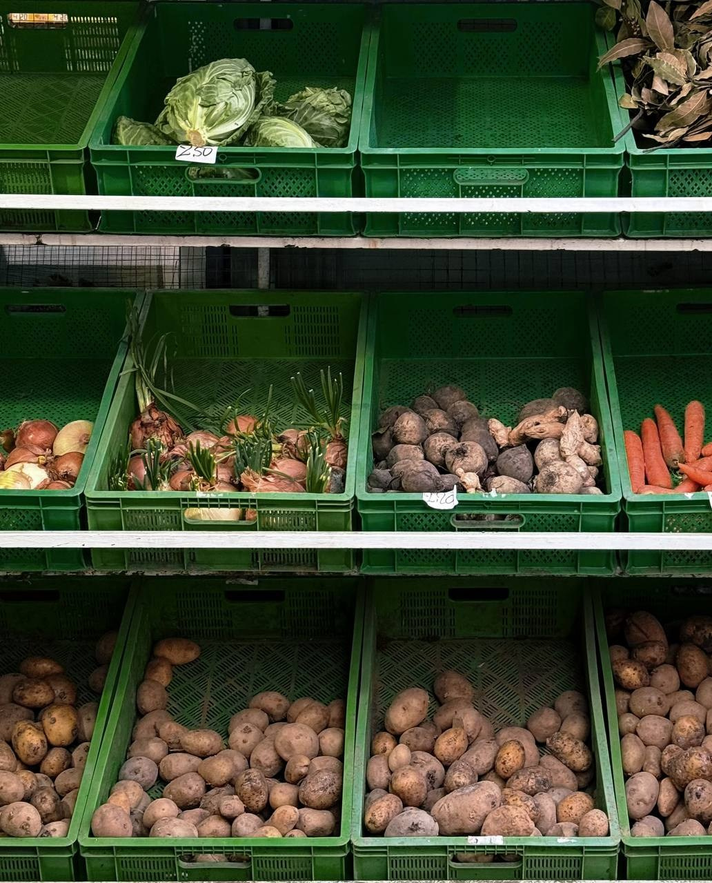 Челлендж. День 3: Ритм. РАЗБОРЫ. Даша Яковенко Фотограф Спб