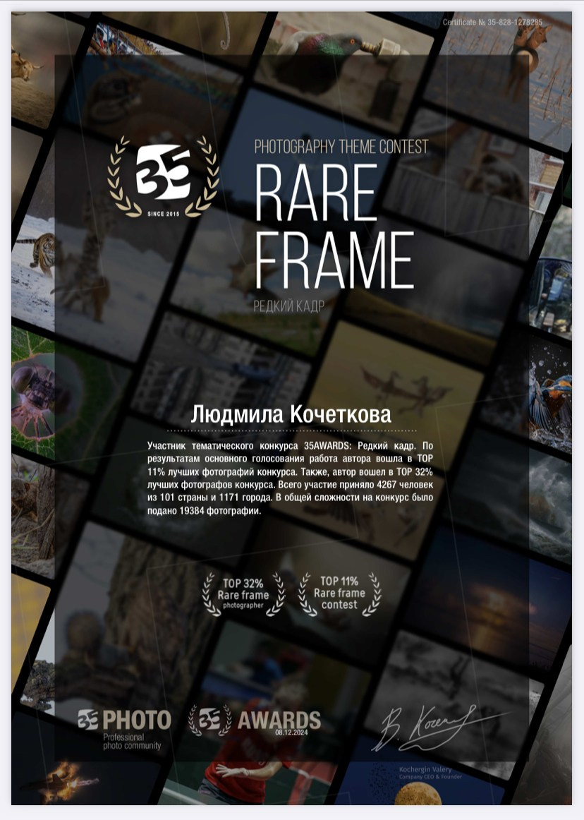 Фотопремии