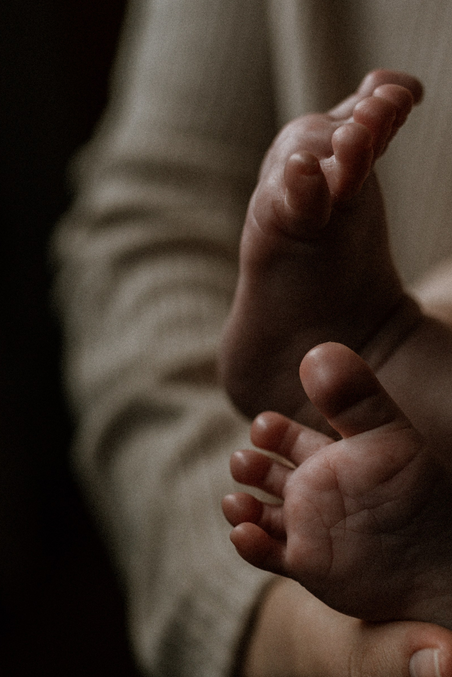 Свадебный и семейный фотограф Кожевникова Лариса