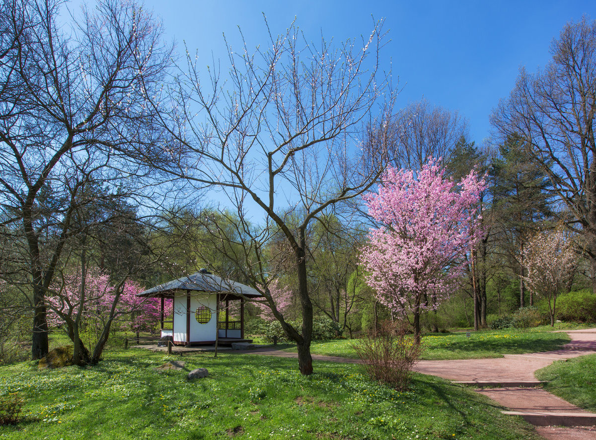 Когда и где цветут сады. Ваш фотограф в Москве и Московской области — Мария Бучнева