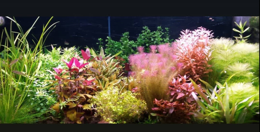 Опыт работы. Home