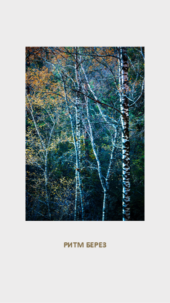 FLORA GENESIS. Картины о красоте, культурных ценностях и традициях Казахстана