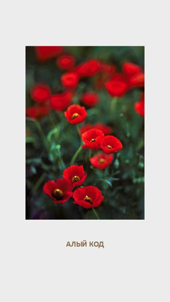 FLORA GENESIS. Картины о красоте, культурных ценностях и традициях Казахстана