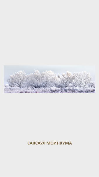 FLORA GENESIS. Картины о красоте, культурных ценностях и традициях Казахстана