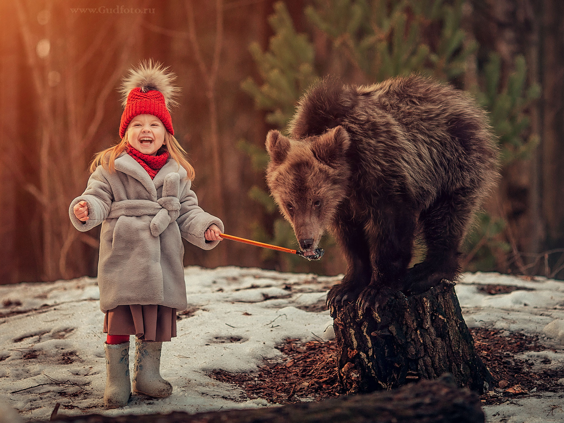 Зимние фотосессии, расписание и цены. Детский и семейный фотограф с животными в Москве Гурьева Надежда