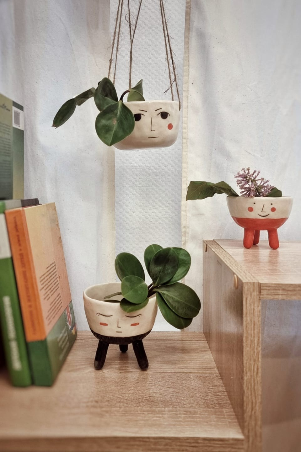 Набор кашпо «Цветы в лицах». Декор для дома