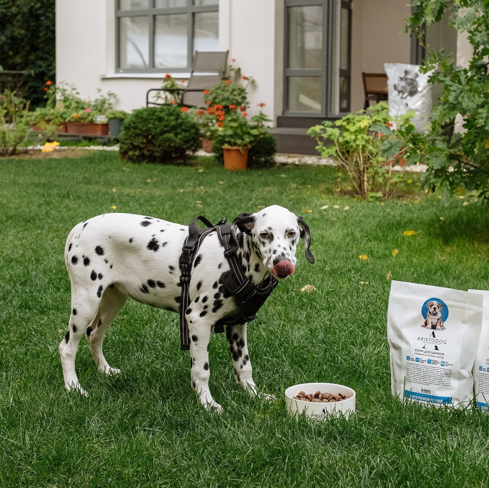 Фотосессия контент примеры. Фотограф и видеограф в Тюмени Анна Жагорина, 11 лет в профессии
