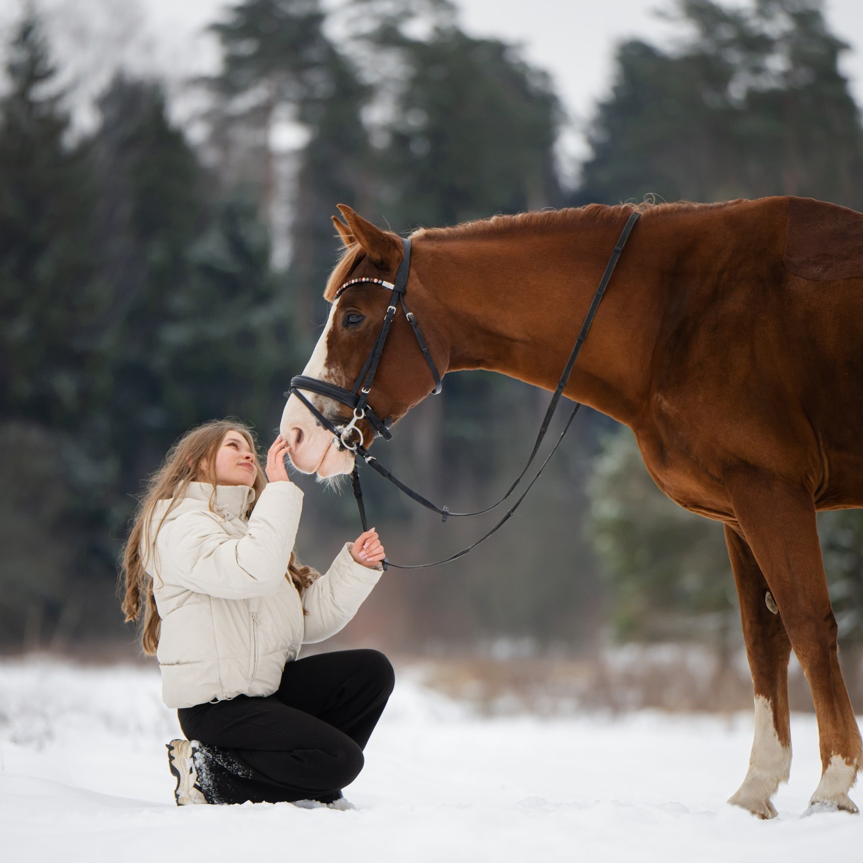 Тарифы и Условия. Фотограф Анималист в Москве Анастасия Жучкова
