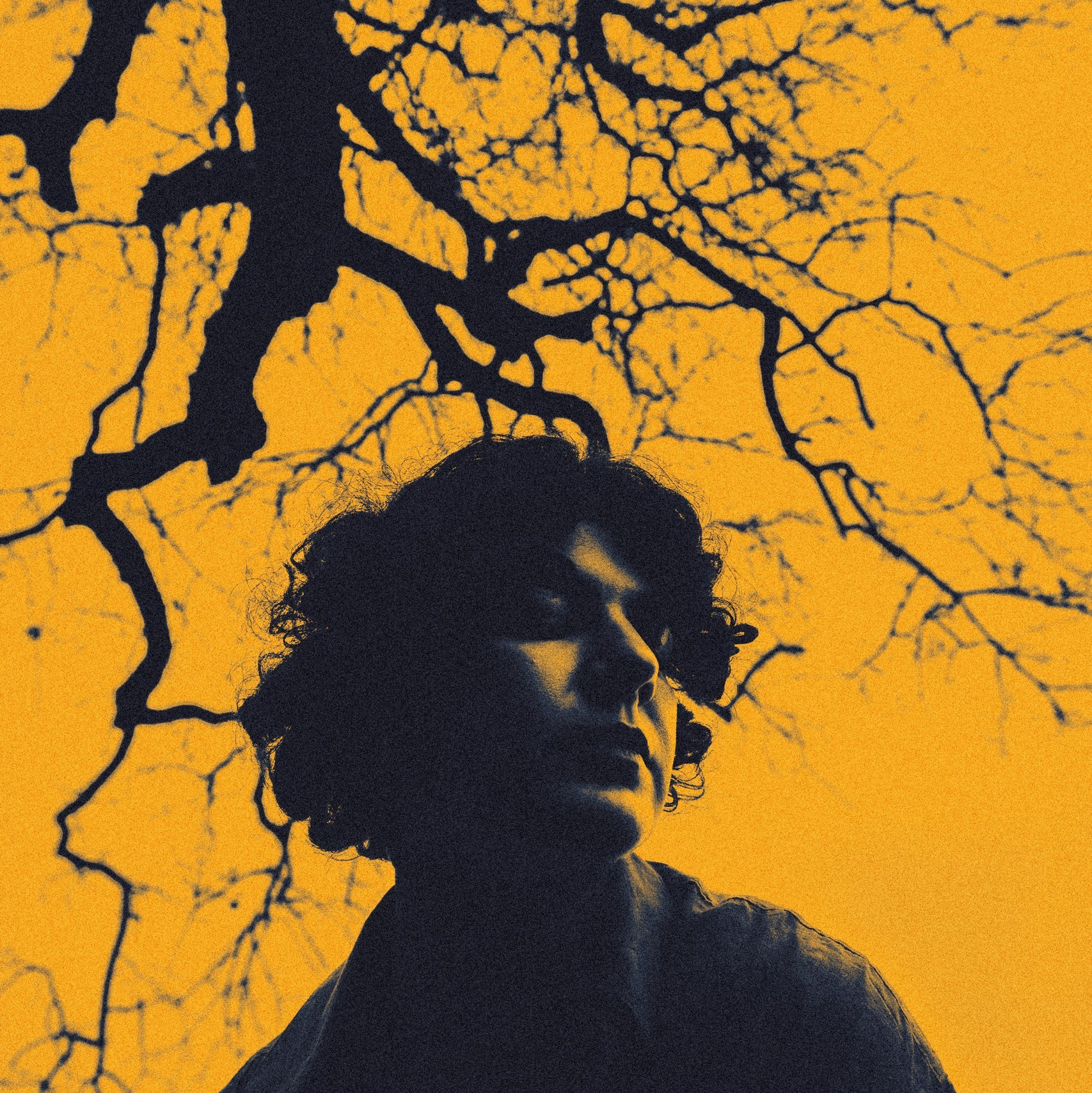 Фотограф Елена Столиванова прайс. Портретный фотограф Москва | Елена Столиванова