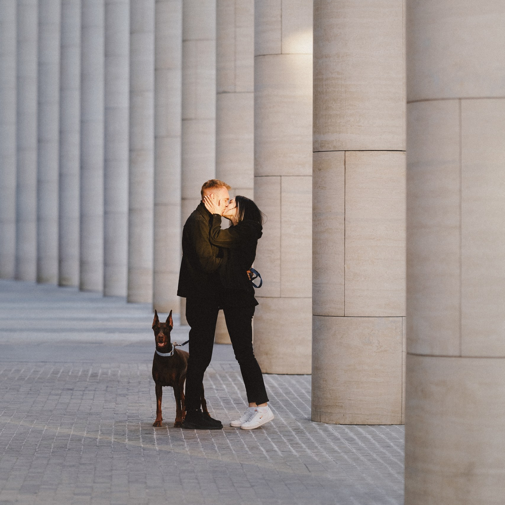 Прайс. Фотограф анималист Осипчикова Мария