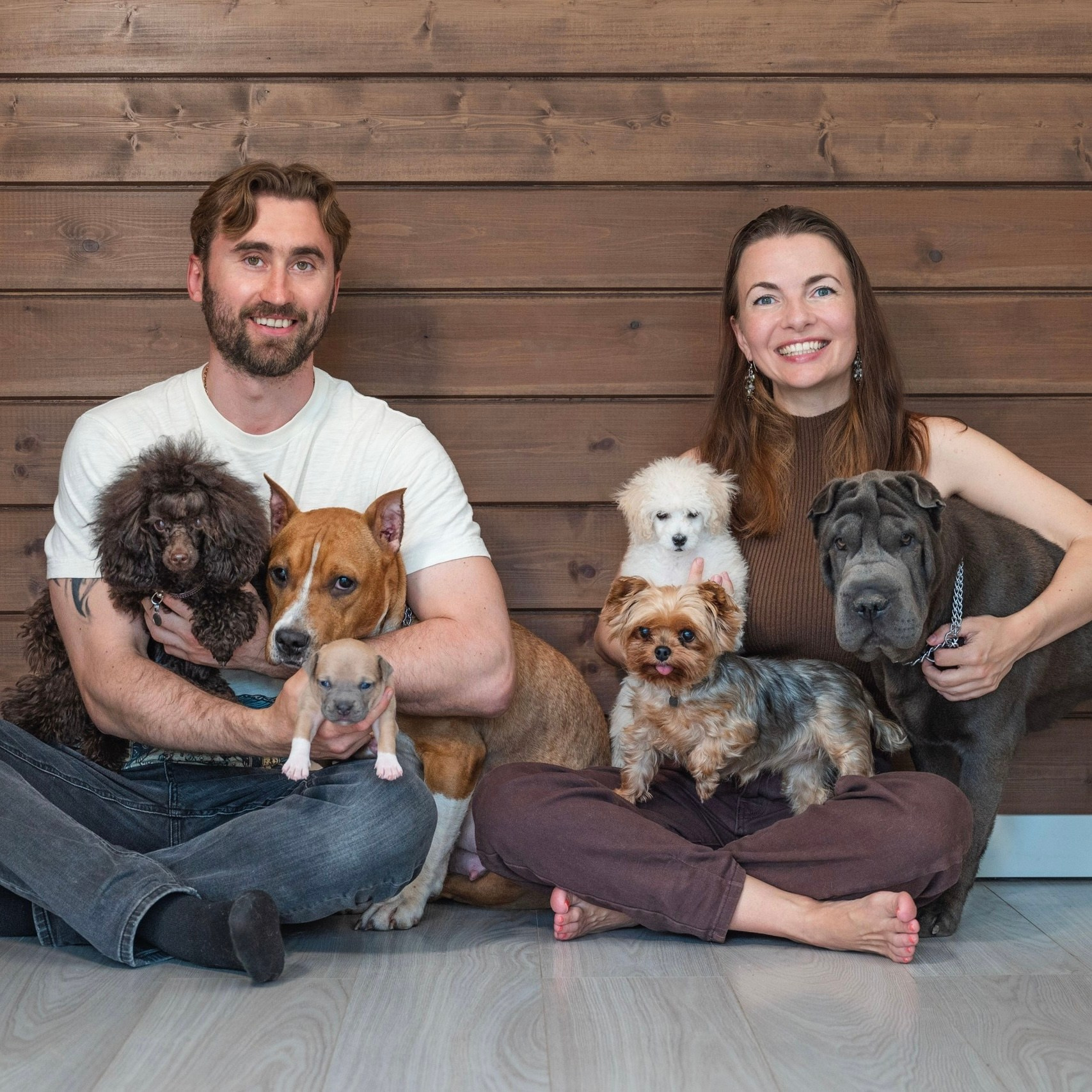 Услуги и цены. Фотограф анималист