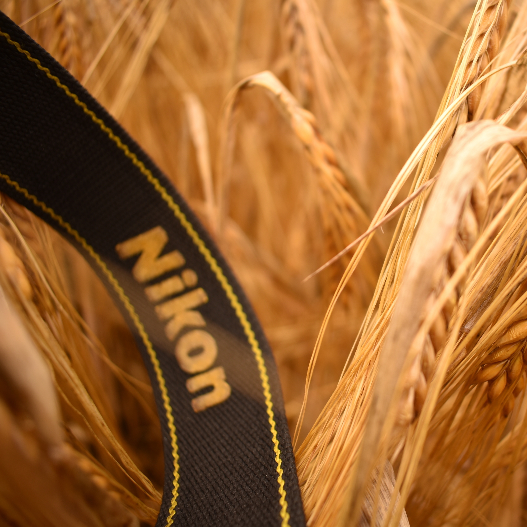 Контакты. Семейный и детский фотограф в Нижнем Новгороде Мила Балаева