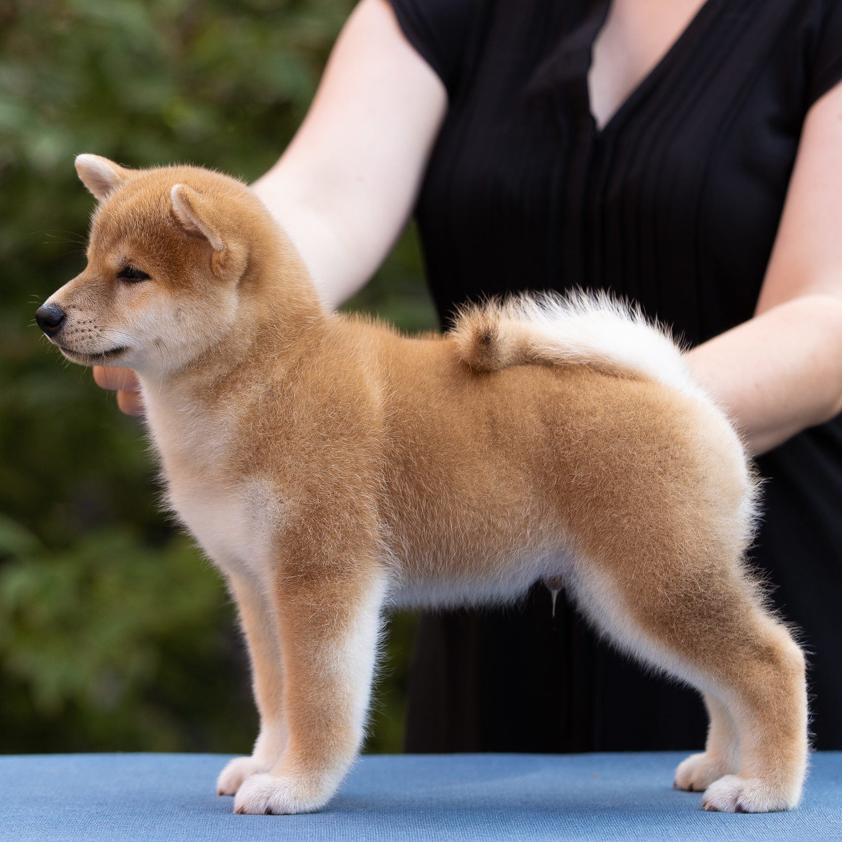 В каком возрасте фотографировать. ФОТОГРАФ-АНИМАЛИСТ l LANA POLYAKOVA